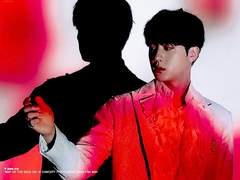 뱀파이어와 인간의 관계에 대하여