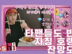 머글의 충동적인 세븐틴 호시탐구