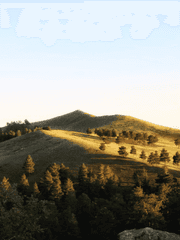 초원비사草原秘史