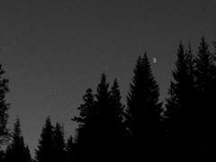 킬리칸 전쟁 글로그