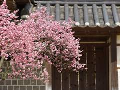 신뢰와 유대감 사이