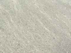 실질적 아웃사이더 下