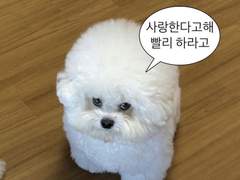 원작 캇데쿠 고찰