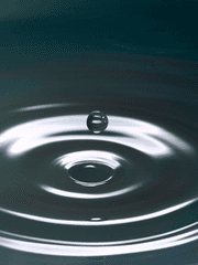 세계관 최강자가 되었다.