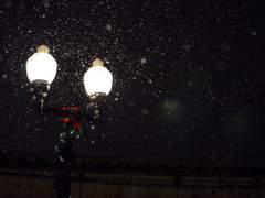 [하나루] 새하얀 밤