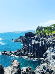 자청비이로소이다