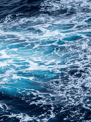 바다는 거짓을 고한다