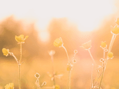 [지구를 잘 부탁드립니다]3화