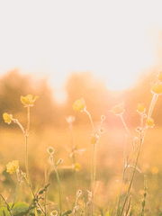 지구를 잘 부탁드립니다