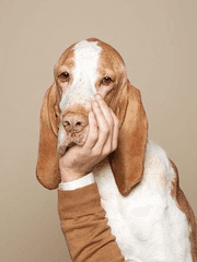 개띠의 시선- 카페편