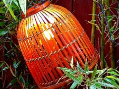 썰 [카쿠재브] 수상한 카페의 사장님