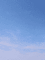 다른 사람을 사랑하고 있어