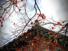 4. 교차하는 것들