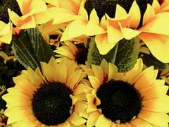 아들이 태어났다고 한다 - 스팬스 (3) 표범과 판다