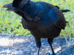 08. 황금 보기를 돌같이 할 수 있을 리가
