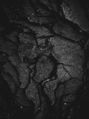 내일은 내일의 해가 떠야한다.