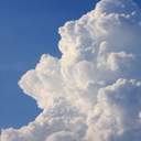 망상의 세계로 고고