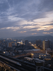 원 플러스 투 생존기