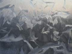 떨어져 나간 겉장