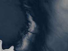 헤이, 네가 너무도 보고 싶어.