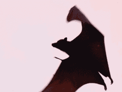 회귀는 했는데 모두가 아는뎁쇼 1화