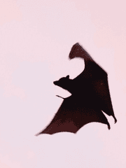 회귀는 했는데 모두가 아는뎁쇼