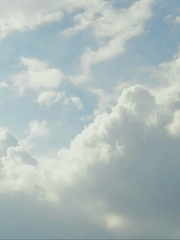 [GL]로판 서브남인 내가 남장여자?