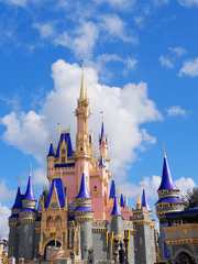 공작과 백작 사이