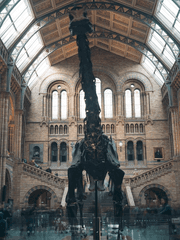 있었던 적 없는 글들의 도서관