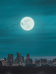 매지컬 유니버스