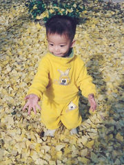 셒페스이모저모