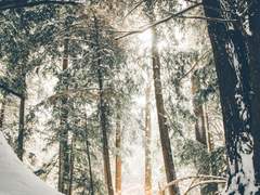 겨울이 봄이 된 이유