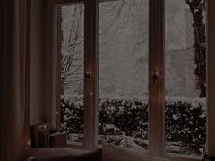 여름은 사랑이 상하기 좋은 계절