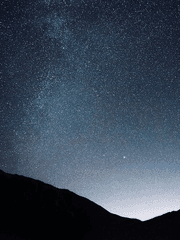 [ 커뮤 ] 발렌느