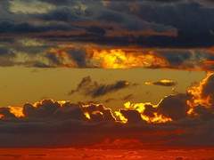 바람에 휘청이며 날아가는