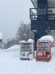 세상은 원자와 빈공간으로 이루어져있다.
