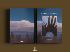 a green orange - 녹색 오렌지 하나