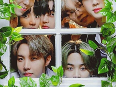 한울 수인센터 문제의 고양이 아가씨