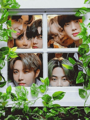 한울 수인 센터 문제의 고양이 아가씨