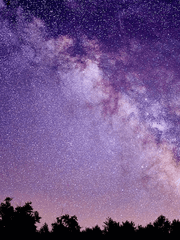 내 죽음을 알려라!