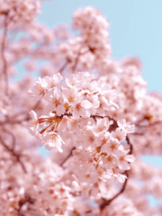 드림주 썰 모음