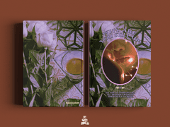 Why Are You Still Up? - 왜 아직까지 안자고 있어?