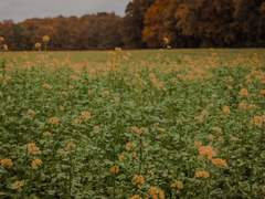 ❝ 𝐐𝐧𝐀 ❞