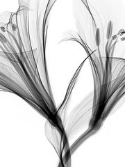 [화산귀환] 단편