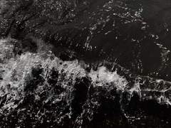 청려주단 [Remembering]