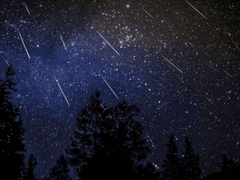 Profile :: 임 하민