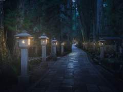 [도만구다] 잘못된 장소로 길을 잃고 흘러들어왔어