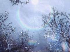 [조로산] 더 글로리 썰