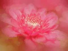 水雲 持貨 ✾ 二十 ✾ 男 ✾ 人