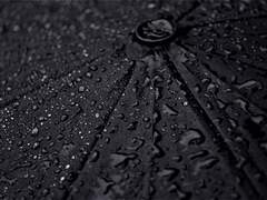 크리스마스의 악몽